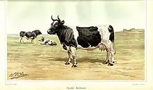 Dessin en couleurs d'une vache noir et blanc, vue de profil