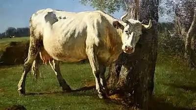 Vache qui se gratteConstant Troyon, 1859