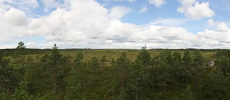 Le marais de Vajosuo dans le parc national de Kurjenrahka.