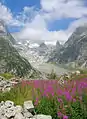 Panorama du haut val Ferret.