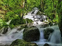 Bas de la cascade du Tabourot.