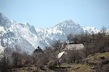 De grandes montagnes enneigées forment perspective à une prairie accidentée portant arbres, champs et maisons.