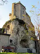 Le château vu de la rive droite du Rhône (2) .