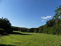 La vallée de la Borrèze en contrebas de la combe.