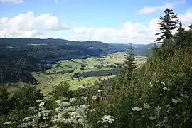 Vallée de la Valserine.