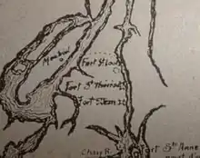 Ancienne carte du Fort Saint-Jean et autres forts de la rivière Richelieu, circa 1666 lors de la campagne du Régiment de Carignan-Salières