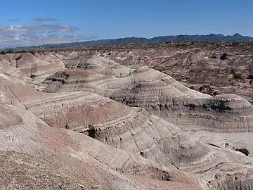 Valle Pintado au parc provincial d'Ischigualasto en 2014