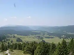 Vallée de la Valserine vue depuis La Dôle