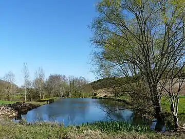 Un étang à Vallereuil.
