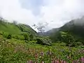 Vallée en fleurs dans l'Uttarakhand.