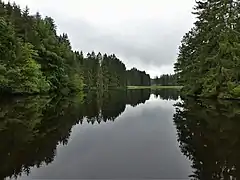 L'étang de la Chabassière.