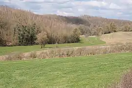 Vue générale du vallon de l'Ar à Germiny.