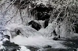 Jonction du Lavedan et du Couradet en hiver.