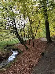 Sentier du Vuylbeek