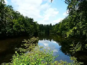 L'étang en amont de Mavaleix, alimenté par la Valouse et partagé entre Chalais (à gauche) et Saint-Paul-la-Roche.