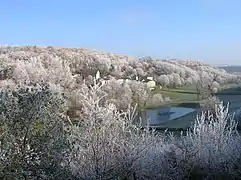 Le village sous le givre de l'automne.