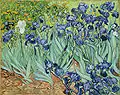 Iris (Van Gogh)