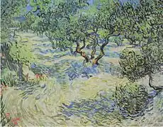 OliviersVincent van Gogh, juin 1889 .
