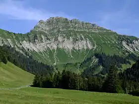 Vue du versant occidental du Vanil des Artses.