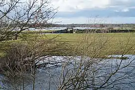 Vanne du Graon dans le marais de Saint-Gré (à l'arrière-plan).