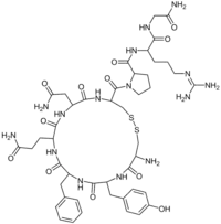 Image illustrative de l’article Vasopressine