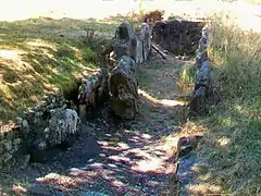 Allée couverte du cimetière des Anglais.