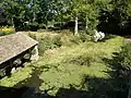 Lavoir sur la Vaige