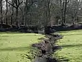 Photographie montrant un ruisseau traversant en sinuant un pré et rejoignant une haie à l'arrière plan.