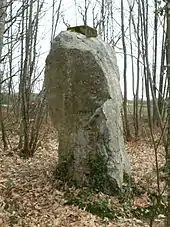 Le menhir de la Drouetterie.