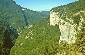 Image illustrative de l’article Forêt du Vercors