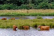 L'Overijsselse Vecht près de Hardenberg.