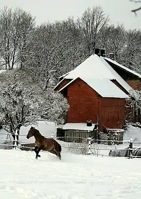 Cheval marron dans un paysage de neige