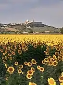 Vue de Lorette depuis le littoral