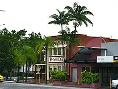 Description de l'image Veitchia joannis in Cairns, Queensland.jpg.