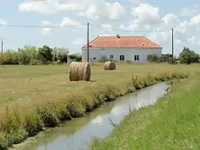 Challans-Gois-Communauté