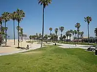 Promenade dans le quartier de Venice Beach (Los Angeles).