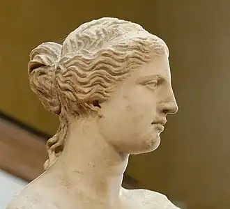 Vénus de Milo, musée du Louvre (détail)