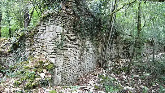 Ruines de l'abbaye du Puits d'Orbe.