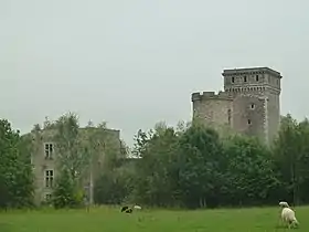 Image illustrative de l’article Château de Seraing-le-Château