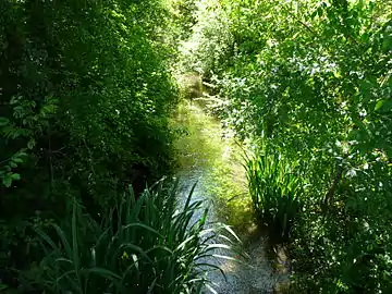 Le Vern en amont du pont menant au lieu-dit les Feydies.