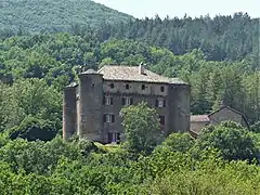 Le château de Montalègre.