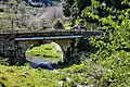 Pont de Vescovato sur le Cintrone.