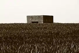 Blockhaus de la guerre 39-45 au milieu d'un champ