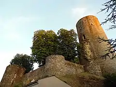 Vestiges du château-fort depuis le bas du fossé.
