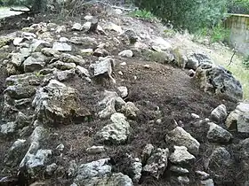 Vestiges du rempart nord du site des Tamaris.