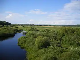 La rivière Besed dans le raïon de Vetka.