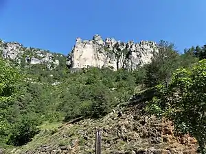 Rochers dans les gorges de la Jonte.