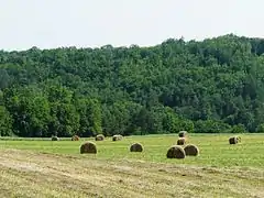 La vallée du Caudeau à Veyrines-de-Vergt.