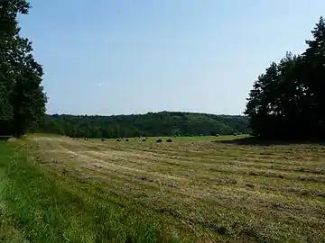 La vallée du Caudeau en limite sud de la commune.