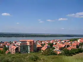 Višnjica (Palilula)